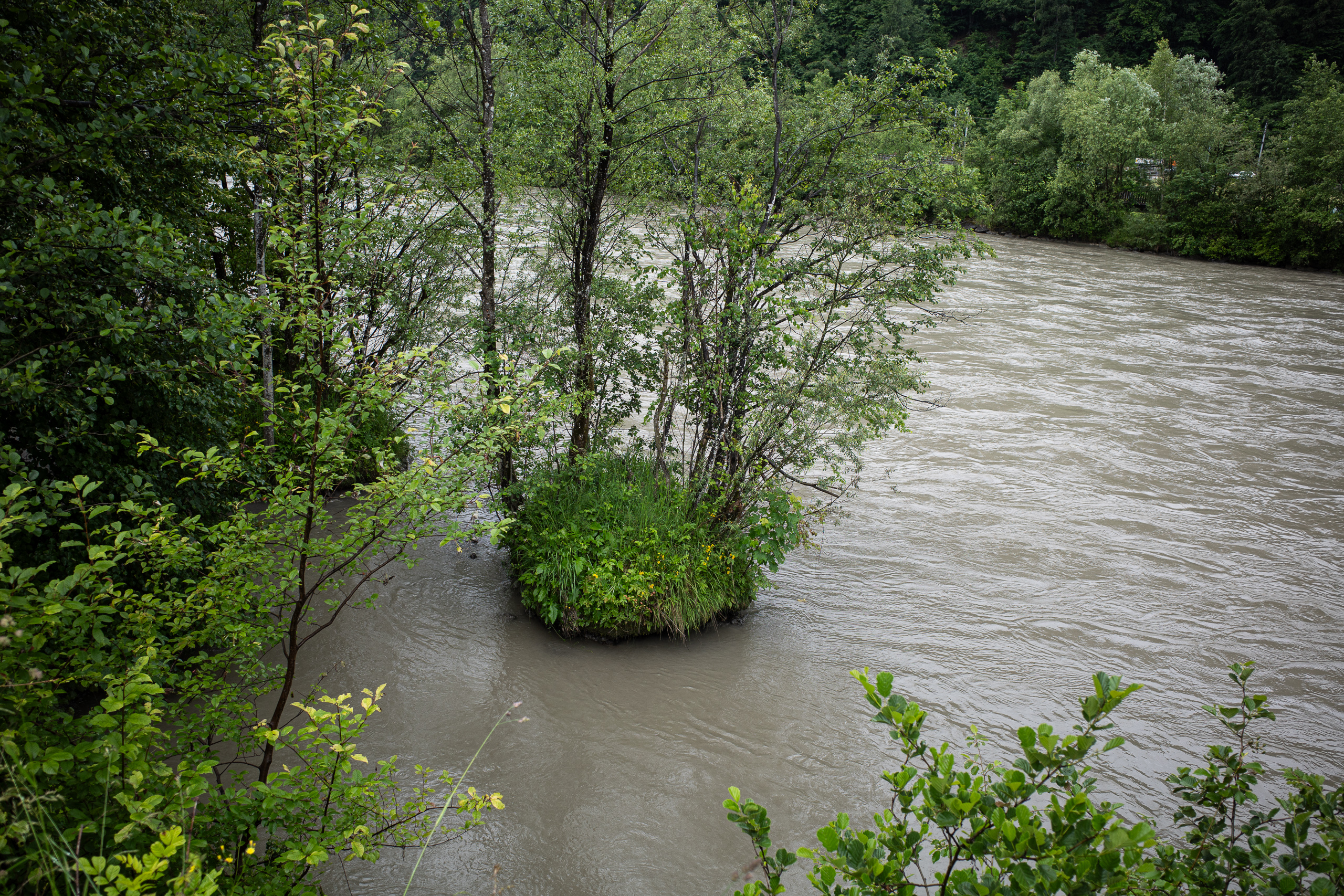 Die Salzach umspült eine kleine Insel – Hochwasser nach tagelangem Regen